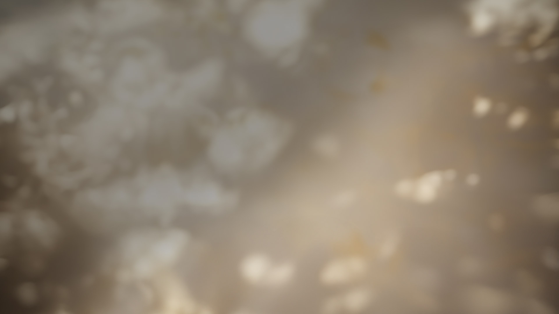 sl4-bg.jpg